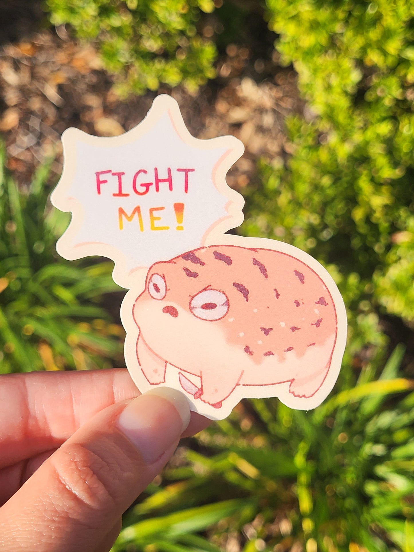 Desert Rain Frog "Fight Me" Sticker