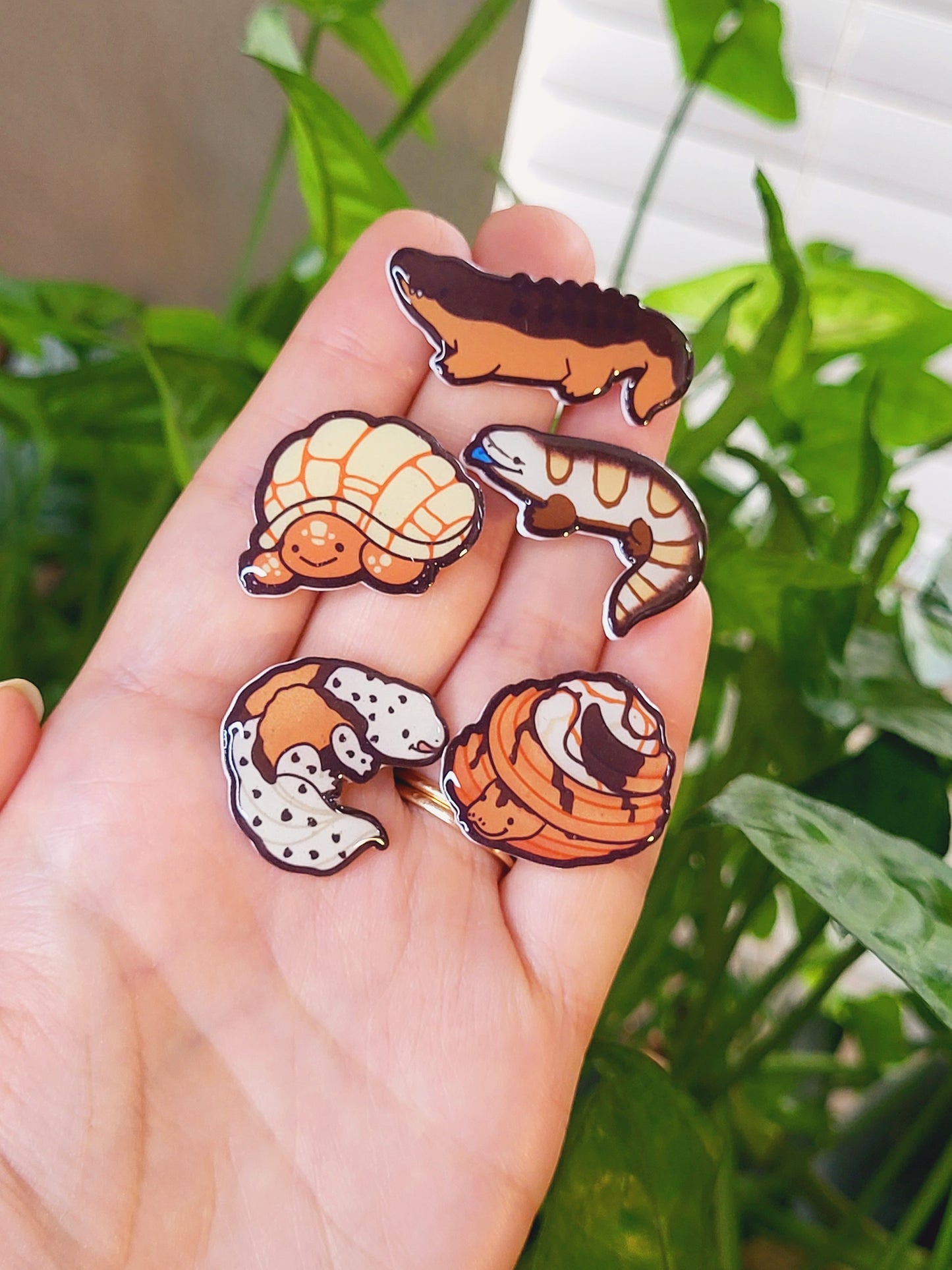 Concha Tortoise Pin (Sweet Treat Reptiles)