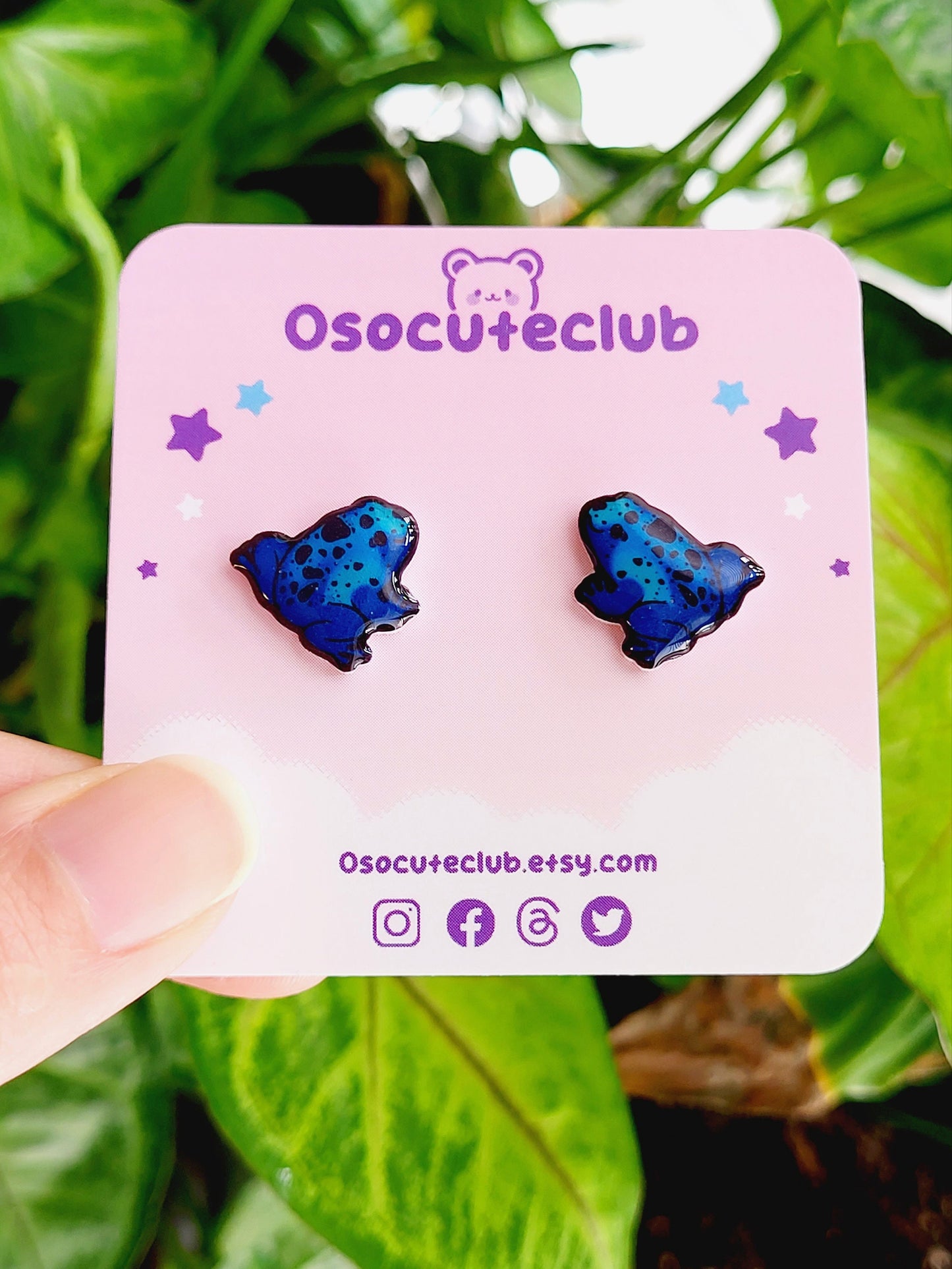 Tropical Frog Studs