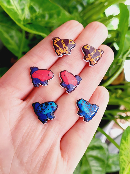 Tropical Frog Studs